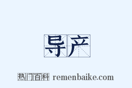 导产是什么意思的图片